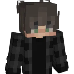 ImTom_ Minecraft avatar bust