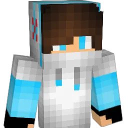 Im_Realise Minecraft avatar bust