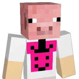 ImaWildCat Minecraft avatar bust