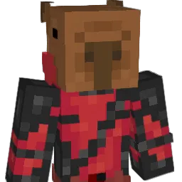 ImagoDei20