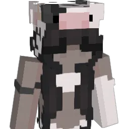 Imviky00