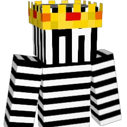 In5t1nct_ Minecraft avatar bust