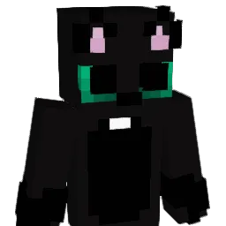 InD1cA_ Minecraft avatar bust