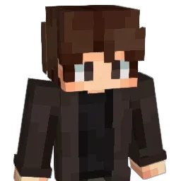 IndiaBestJ1J4 Minecraft avatar bust