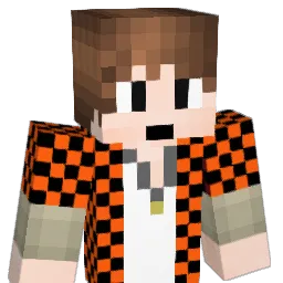 Indianboy123321 Minecraft avatar bust