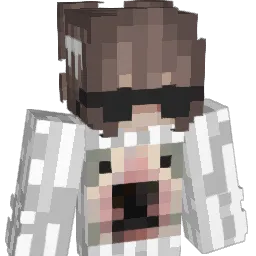 IndoorMoon Minecraft avatar bust