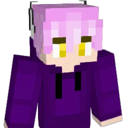 InfiniteBogoSort Minecraft avatar bust