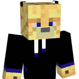 InsaneCat Minecraft avatar bust