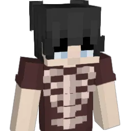 InsaneSweat_ Minecraft avatar bust