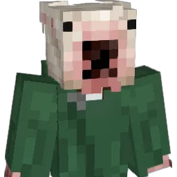 InsaneVirgin Minecraft avatar bust