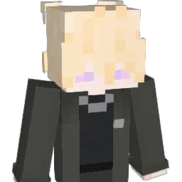 Insanezs Minecraft avatar bust