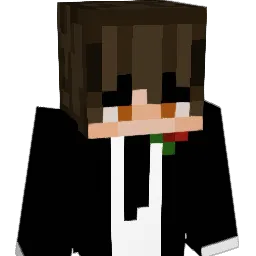 InsaniBoy Minecraft avatar bust
