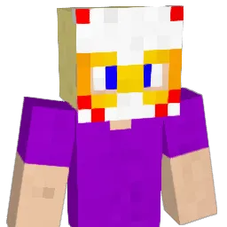 InsanityCat Minecraft avatar bust