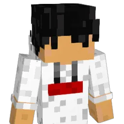 Insirja Minecraft avatar bust