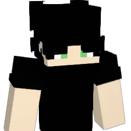 Insomniac25 Minecraft avatar bust