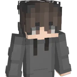 Insz Minecraft avatar bust