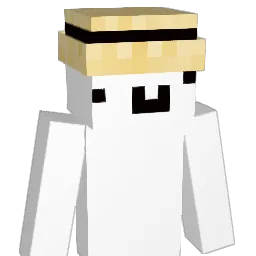 Int_type Minecraft avatar bust