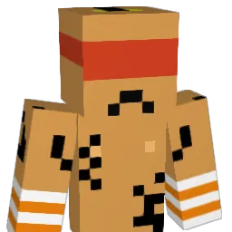 Internetzugang Minecraft avatar bust