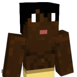 Intersecter Minecraft avatar bust