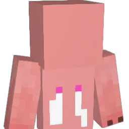InvaderJr