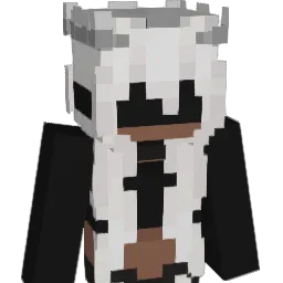 Invincible_0 Minecraft avatar bust