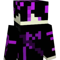 Invis_King's Minecraft skin