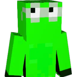 Invisible2022 Minecraft avatar bust