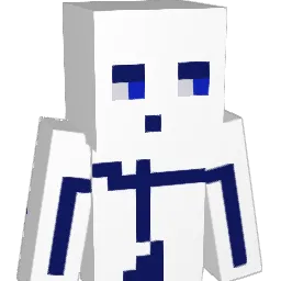 Invisibler21 Minecraft avatar bust