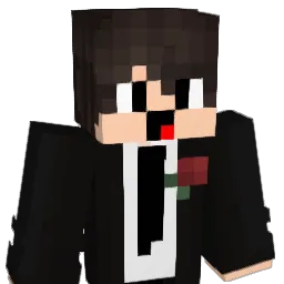Ipopi_ Minecraft avatar bust