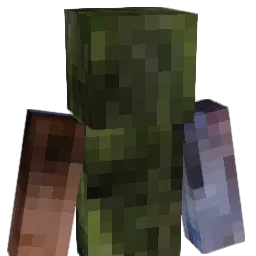 Irisa88 Minecraft avatar bust