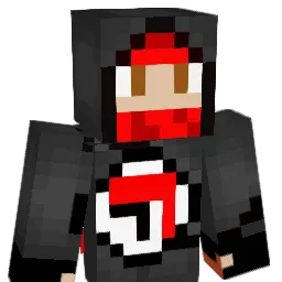 Irishpolak Minecraft avatar bust