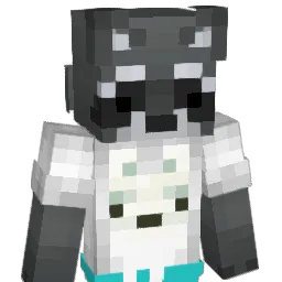 IrlRacc