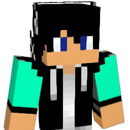 Irlandzwerg Minecraft avatar bust