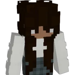 IronHeart8 Minecraft avatar bust