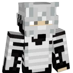 IronbotT_T Minecraft avatar bust