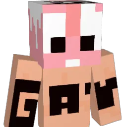 Irregulate's Minecraft skin