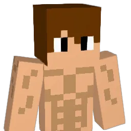 Irritable_Ewok Minecraft avatar bust