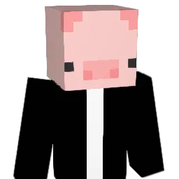 Irvinspider54 Minecraft avatar bust
