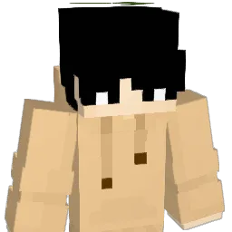 IrysIrides