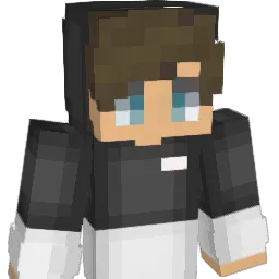Is2005 Minecraft avatar bust