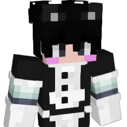 Isa1DG Minecraft avatar bust