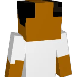 IsaacNewton9000 Minecraft avatar bust