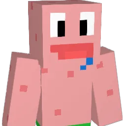 IsmaelFR300 Minecraft avatar bust