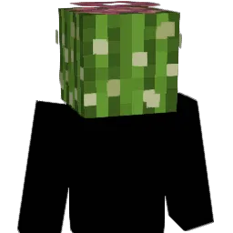 Issis0208 Minecraft avatar bust