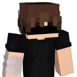 It4qcaND Minecraft avatar bust