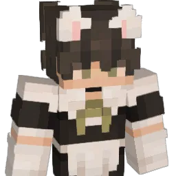 ItsBrandon08 Minecraft avatar bust