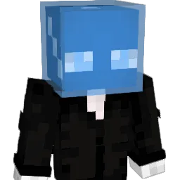 ItsDicer