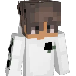 ItsEliaz Minecraft avatar bust