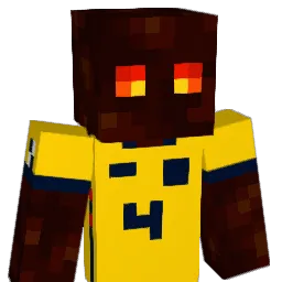 ItsFoam