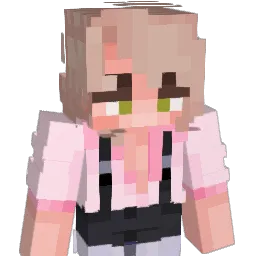 ItsMeSunny Minecraft avatar bust